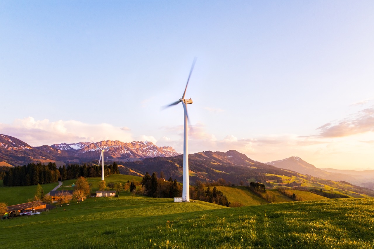 The Role of AI in Future Environmental Conservation